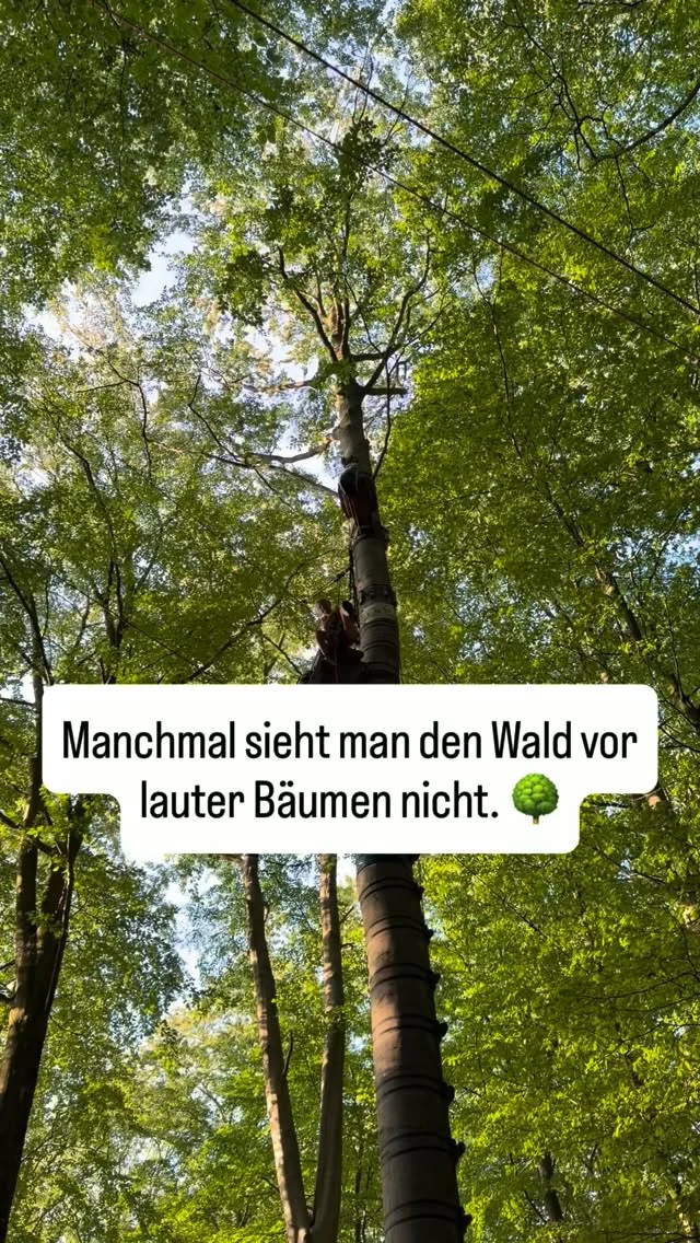Ihr kennt jeden Handgriff. Jeden Ablauf. Jedes Detail.

Genau DAS ist das Problem. 🎯

Wenn man eine Praxis in und auswendig kennt, verschwimmen die kleinen Stolpersteine im Alltag bis sie zur Gewohnheit werden. Umständliche Abläufe, die niemand mehr hinterfragt. Zeitfresser, die längst normal geworden sind.

🔍 Wir kommen nicht mit Theorie. Wir kommen VOR ORT.

Mit dem Blick von außen. Unvoreingenommen. Ohne Betriebsblindheit. Wir sehen, was im Alltag untergeht und sprechen es an, statt drum herumzureden.

💡 Kleine Veränderungen. Große Wirkung. Für ein Team, das effizienter arbeitet, statt sich täglich mit denselben Hürden herumzuschlagen.

👉 Bereit für den Blick von außen? Lasst uns reden.

#praxis #klinik #zahnarztpraxis