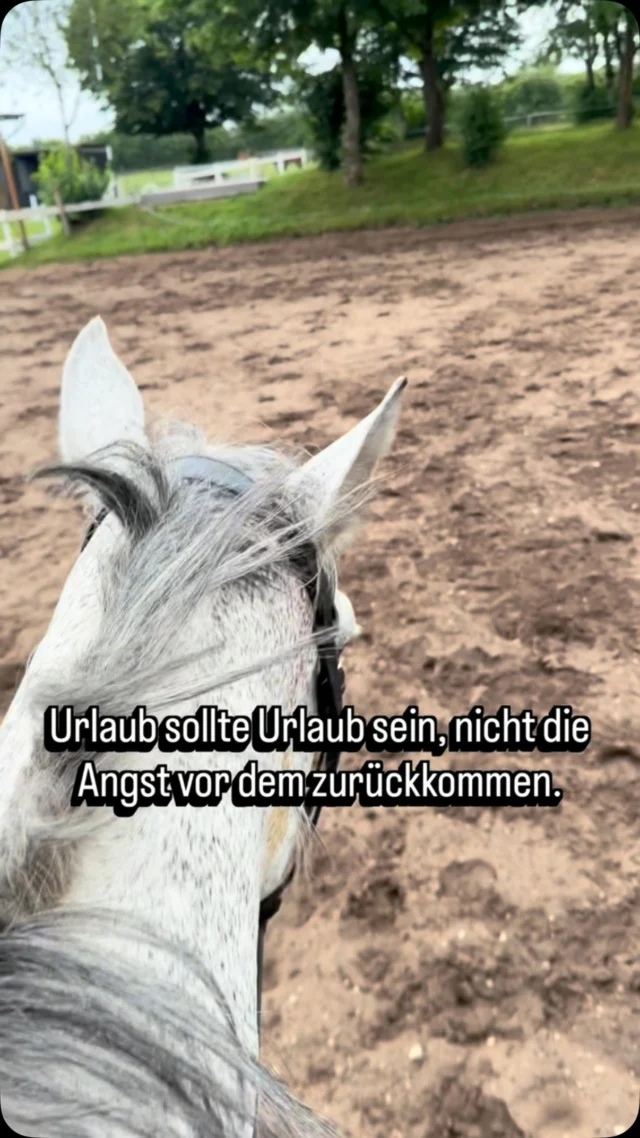 Urlaub sollte Urlaub sein nicht die Angst vor dem Rückkommen.

Kennst du das Gefühl? Du liegst am Strand, aber im Hinterkopf kreisen schon die Gedanken: Der Stapel. Die Nachrichten. Die ungeklärten Fragen.

Das muss nicht so sein. ✨

Eine gut aufgestellte Praxis bedeutet nicht, dass du alles selbst machst sondern dass auch ohne dich alles läuft. Zwei Personen, die Abrechnung können. Eine Vertretung, die wirklich vertreten kann. Klare Strukturen, die nicht von einer einzigen Hand abhängen.

Dann kommst du erholt zurück. Nicht erschöpft, bevor du überhaupt angefangen hast.

Das ist kein Luxus. Das ist gute Praxisorganisation. 💙

Wie erholsam ist dein letzter Urlaub wirklich gewesen? Schreib’s in die Kommentare. 

#zahnärzte #zahnärztin #zahnarztpraxis